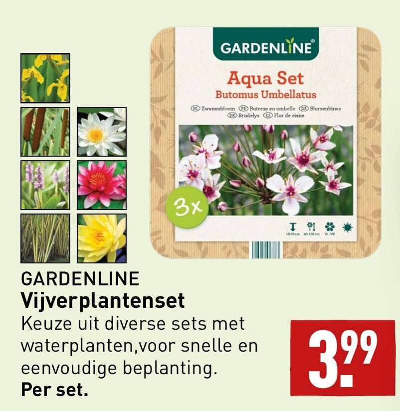 GARDENLINE Vijverplantenset aanbieding bij ALDI