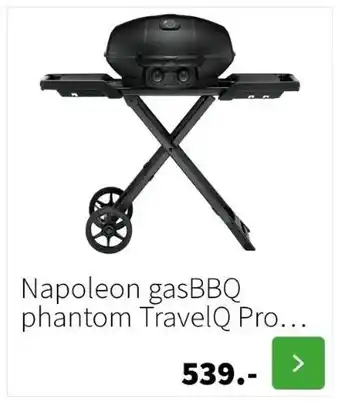 Intratuin Napoleon gasbbq phantom travelq pro 285 aanbieding