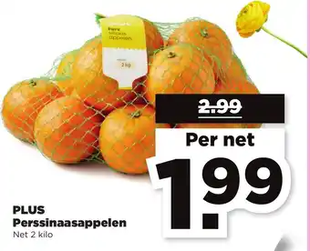 PLUS Perssinaasappelen 2 kilo aanbieding