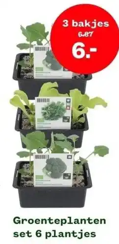 Welkoop Groenteplanten set 6 plantjes aanbieding