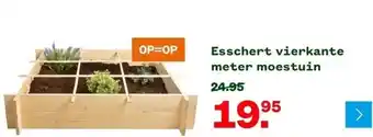 Welkoop Esschert vierkante meter moestuin aanbieding