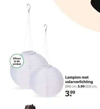 Boerenbond Lampion met solarverlichting aanbieding