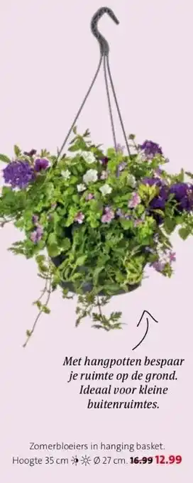 Intratuin Zomerbloeiers in hanging basket. hoogte 35 cm ø 27 cm. aanbieding