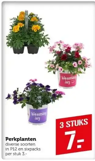 Coop Perkplanten diverse soorten in p12 en sixpacks per stuk 3. aanbieding