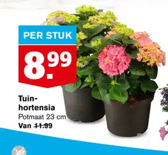 Hoogvliet Tuin-hortensia Potmaat 23 cm aanbieding