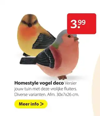 Boerenbond Homestyle vodel deco aanbieding