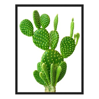 Home24 Afbeelding cactus aanbieding