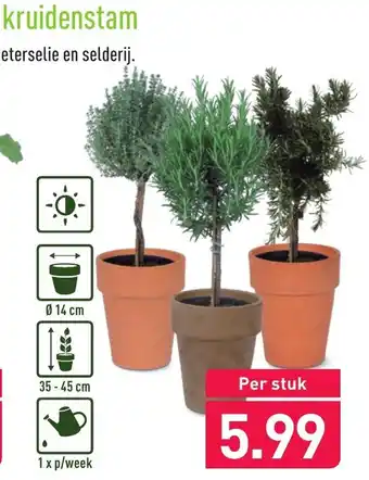 ALDI Kruidenstam aanbieding