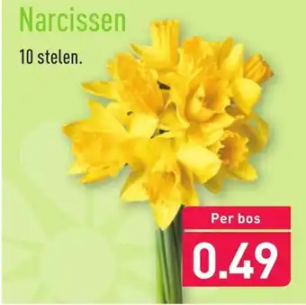 ALDI Narcissen 10 stelen aanbieding