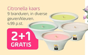 Coppelmans Citronella kaars aanbieding