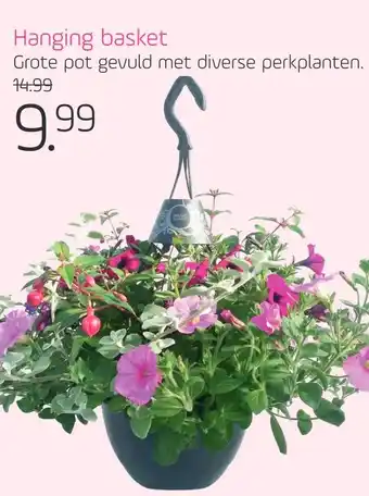 Coppelmans Hanging basket aanbieding