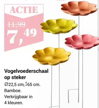 TuinWereld Vogelvoederschaal op steker aanbieding