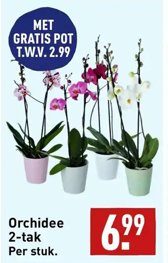 ALDI Orchidee 2-tak Per stuk. aanbieding