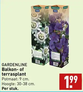 ALDI GARDENLINE Balkon- of terrasplant aanbieding