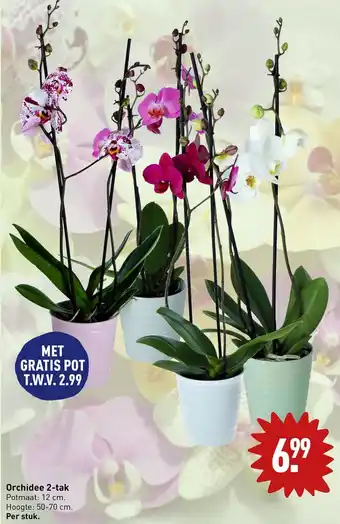ALDI Orchidee 2-tak aanbieding