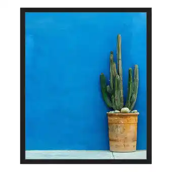 Home24 Afbeelding blue wall with cactus aanbieding