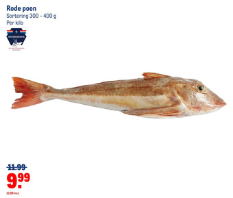 Makro Rode poon aanbieding