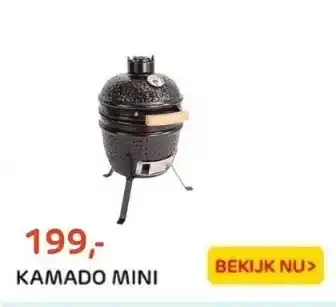 Praxis Kamado mini aanbieding