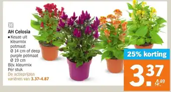 Albert Heijn AH Celosia aanbieding