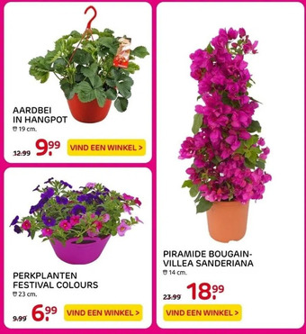 Praxis Aardbei in hangpot aanbieding