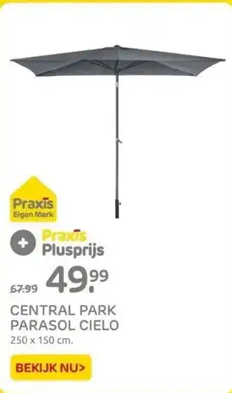 Praxis Central park parasol cielo 250 x 150 cm. aanbieding