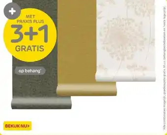 Praxis 3+1 gratis aanbieding