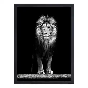 Home24 Afbeelding beautiful lion aanbieding