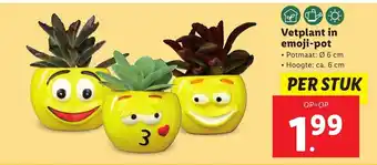 Lidl Vetplant in emoji- pot aanbieding