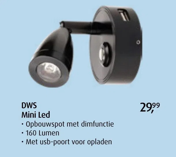 De Wit Schijndel Dws mini led aanbieding