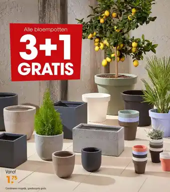 Kwantum bloempotten aanbieding