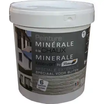 Praxis Richard gevelverf minerale kalk 10kg aanbieding