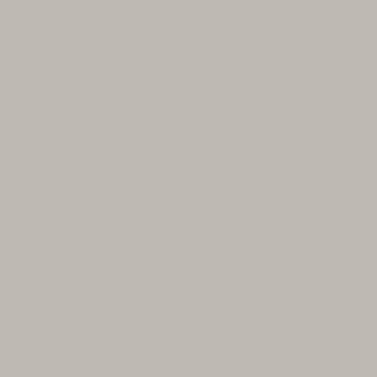 Praxis Histor muurverf my color extra mat new chalk 1l aanbieding