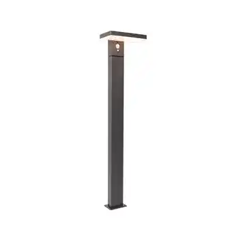 Lampenlicht.nl Buiten paaltje donkergrijs 80 cm incl. led en solar - sunnie aanbieding