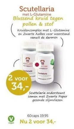 De Rode Pilaren Scutellaria aanbieding
