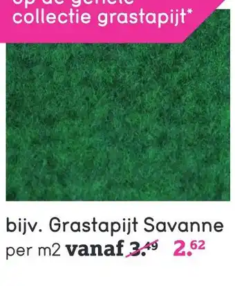 Leen Bakker Grastapijt savanne aanbieding