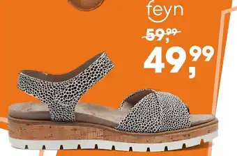 Ziengs Feyn aanbieding