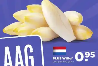 PLUS PLUS Witlof 500g aanbieding