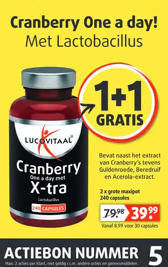 Lucovitaal Cranberry one a day aanbieding