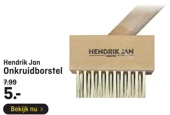 Hubo Hendrik Jan Onkruidborstel aanbieding