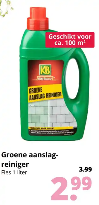 GroenRijk Groene aanslag reiniger 1 liter aanbieding