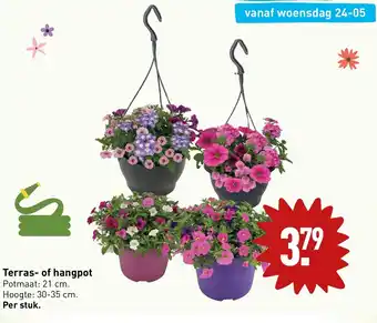 ALDI Terras- of hangpot aanbieding