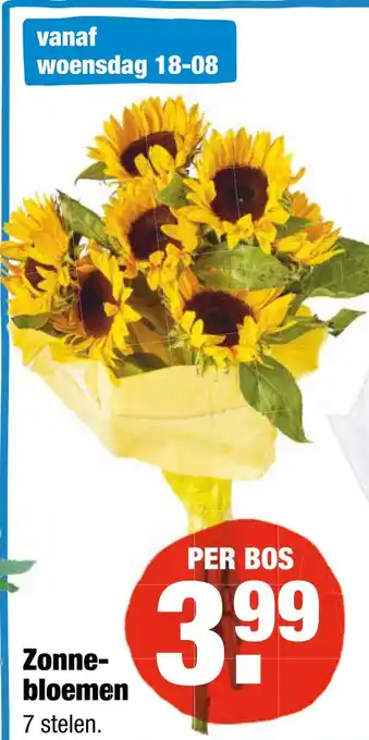 ALDI Zonnebloemen aanbieding