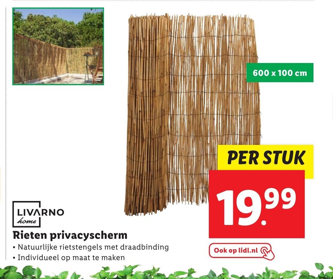 LIVARNO home Rieten privacyscherm 600 x 100 cm aanbieding bij Lidl