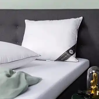 Dekbed-Discounter Hoofdkussen - eendendons platinum presence aanbieding