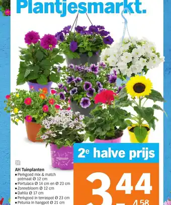 Albert Heijn AH Tuinplanten Perkgoed mix & match potmaat Ø 12 cm aanbieding