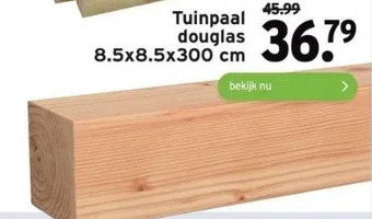 GAMMA Tuinpaal douglas aanbieding