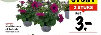 Vomar Voordeelmarkt Mini Petunia of Petunia 11 cm aanbieding