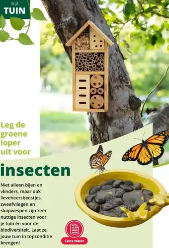 GroenRijk Insecten aanbieding