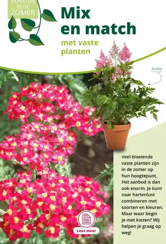 GroenRijk Met vaste planten aanbieding