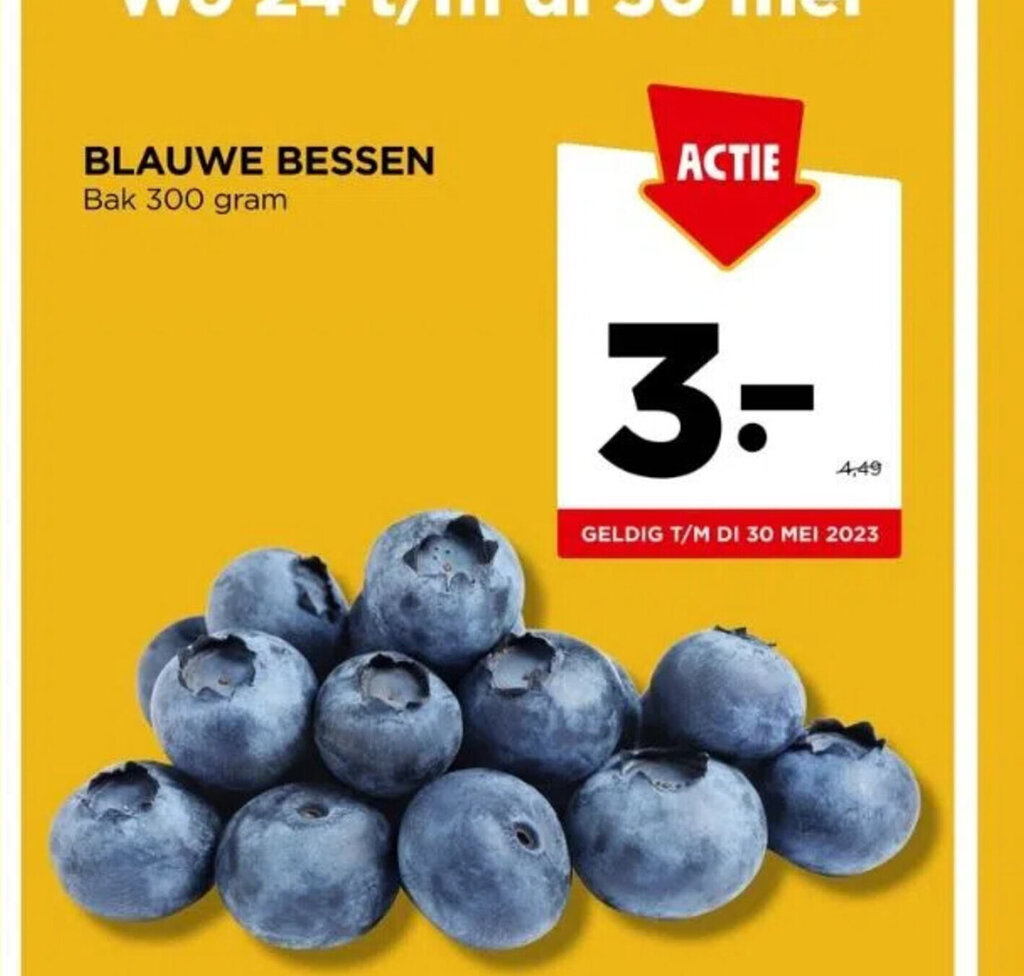 BLAUWE BESSEN Bak 300 gram aanbieding bij Jumbo